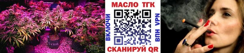 MEGA сайт  Шахунья  ТГК гашишное масло 